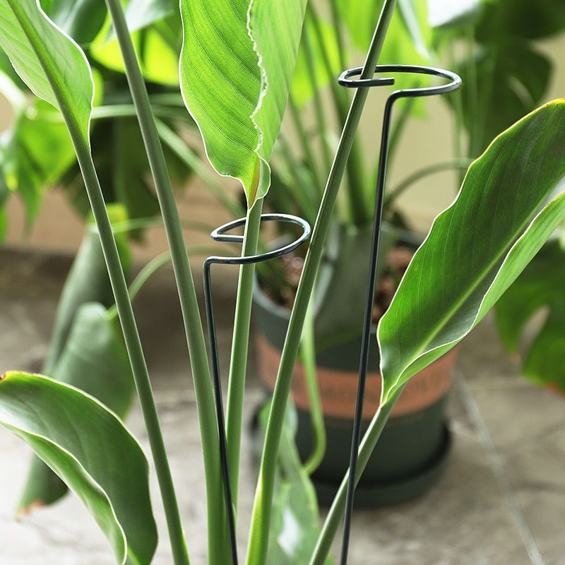 1/10pcs Garden Support Stake R - Plant Support Stake recension och pris
