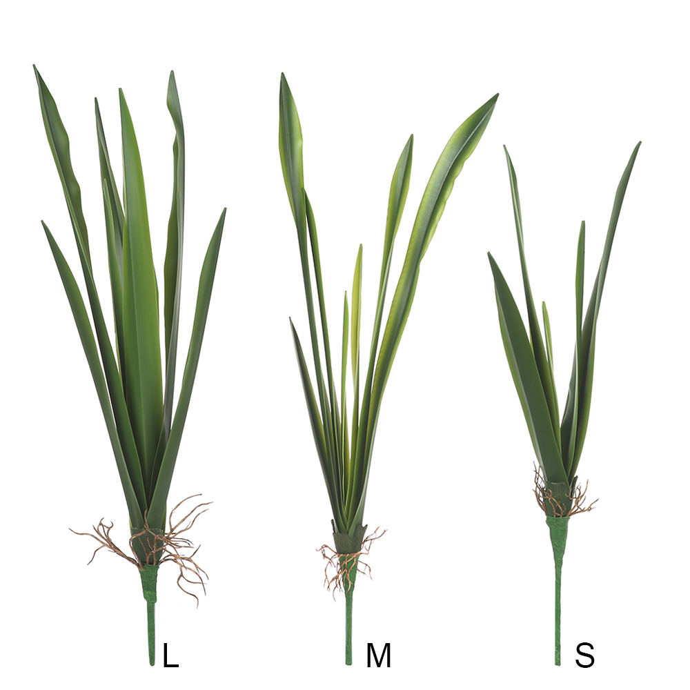 New Party Supplies High Grade  - Snake Plant recension och pris