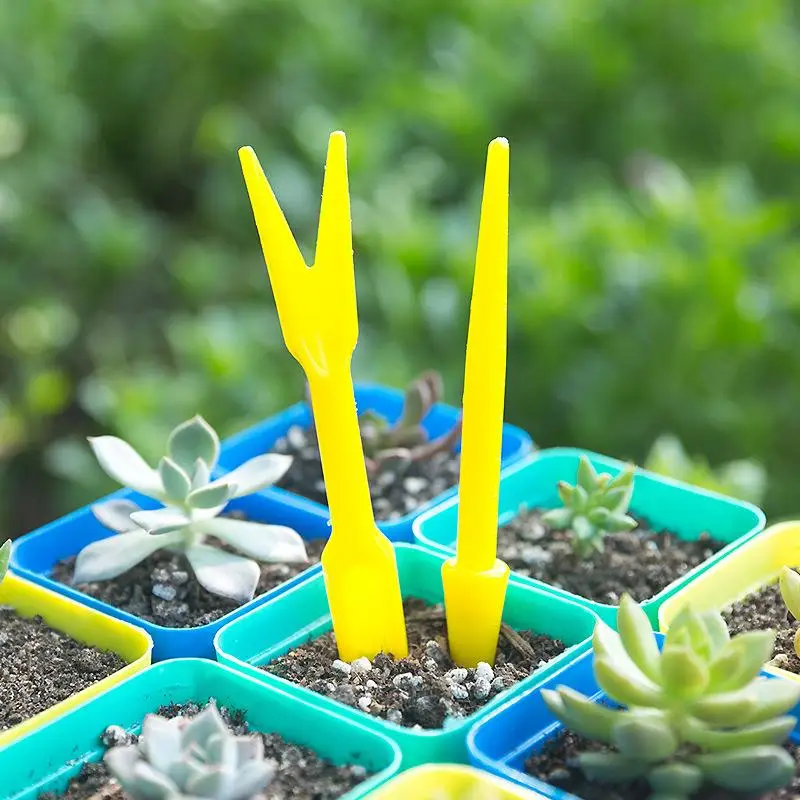 1/10Pcs Sowing Succulents Tran - Succulent Set recension och pris