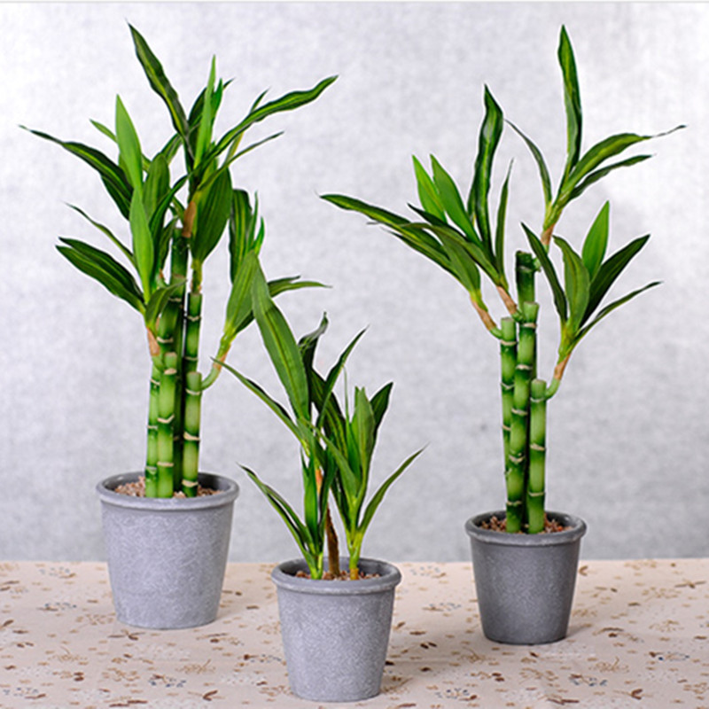 New 40cm Artificial Lucky Bamb - Snake Plant recension och pris