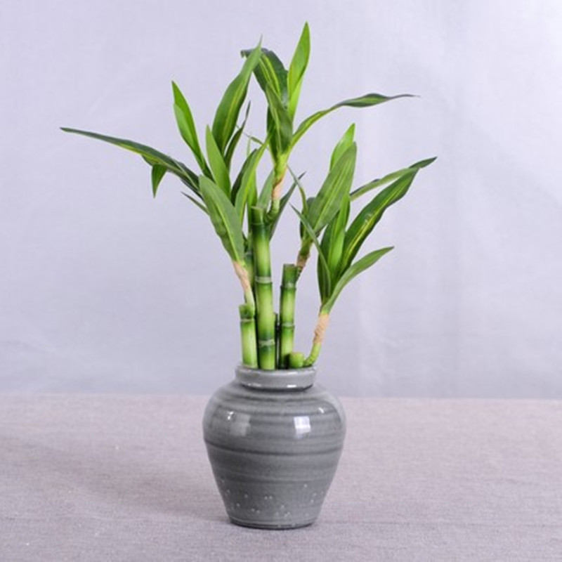 New 40cm Artificial Lucky Bamb - Snake Plant recension och pris