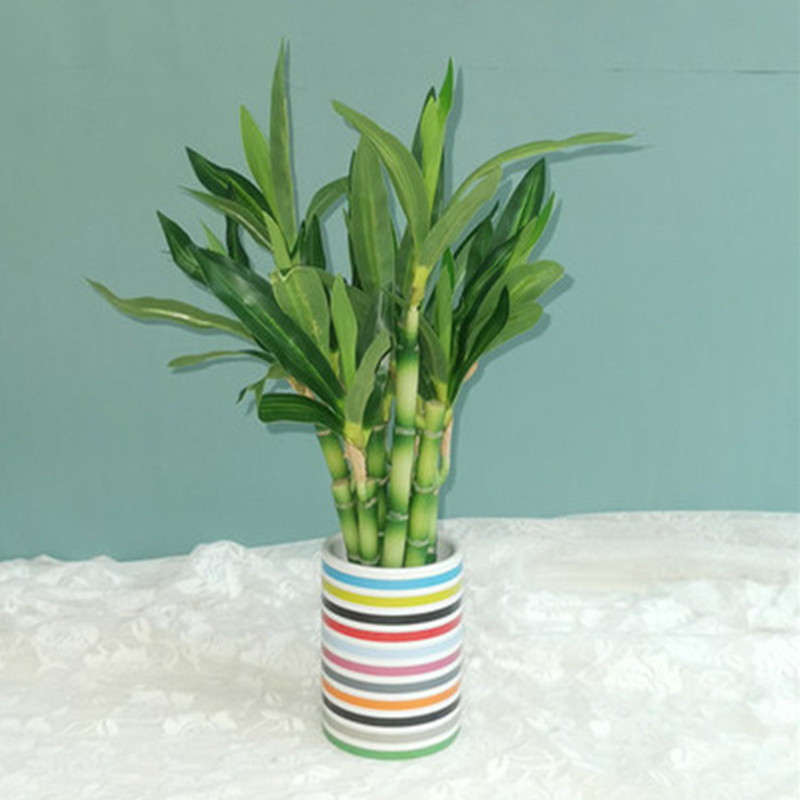 New 40cm Artificial Lucky Bamb - Snake Plant recension och pris