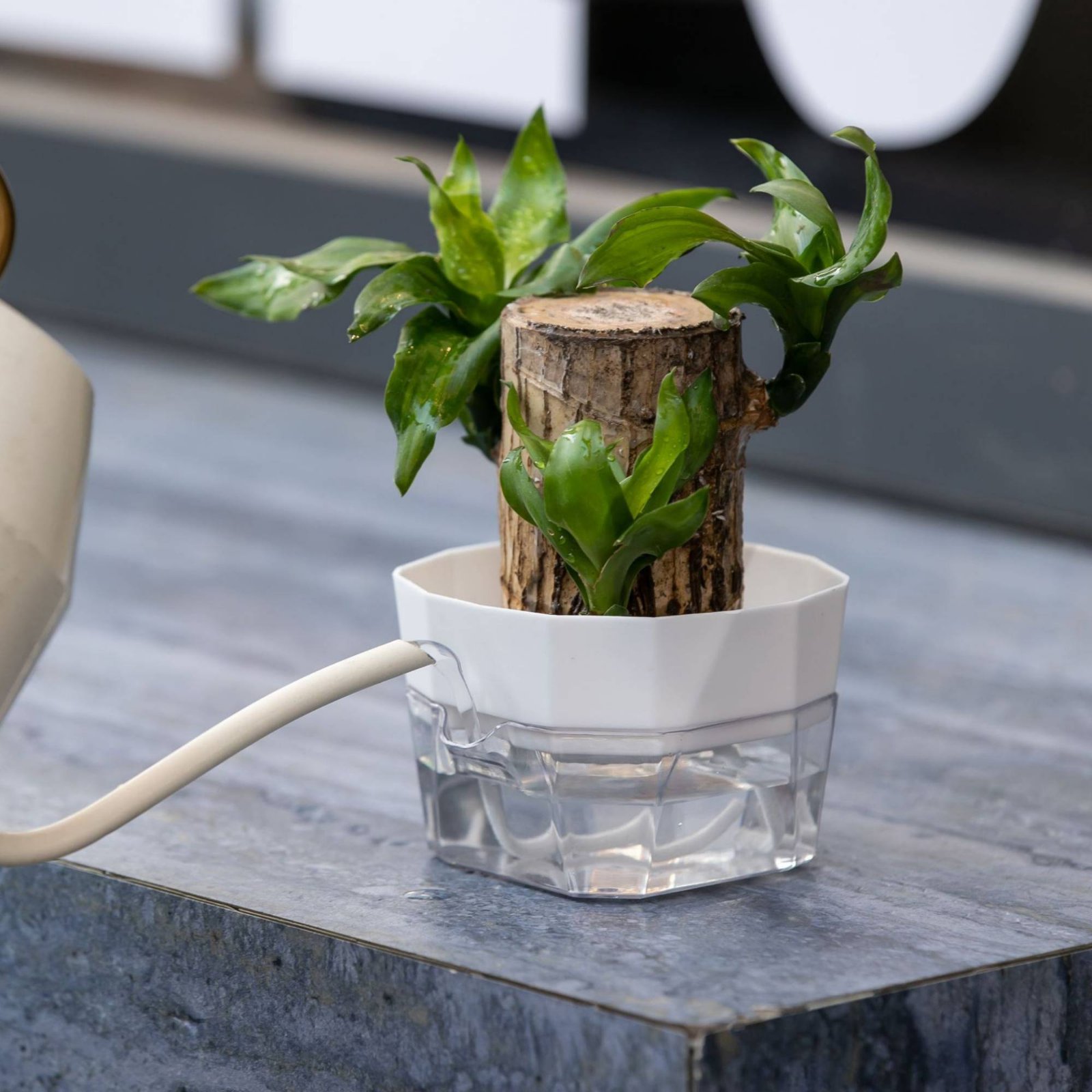 Hydroponic Bulb Vase 2-Tier De - Plant Pot recension och pris