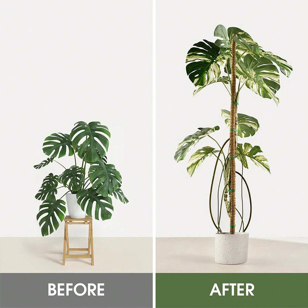 Monstera Plant Moss Pole Suppo - Plant Support Stake recension och pris