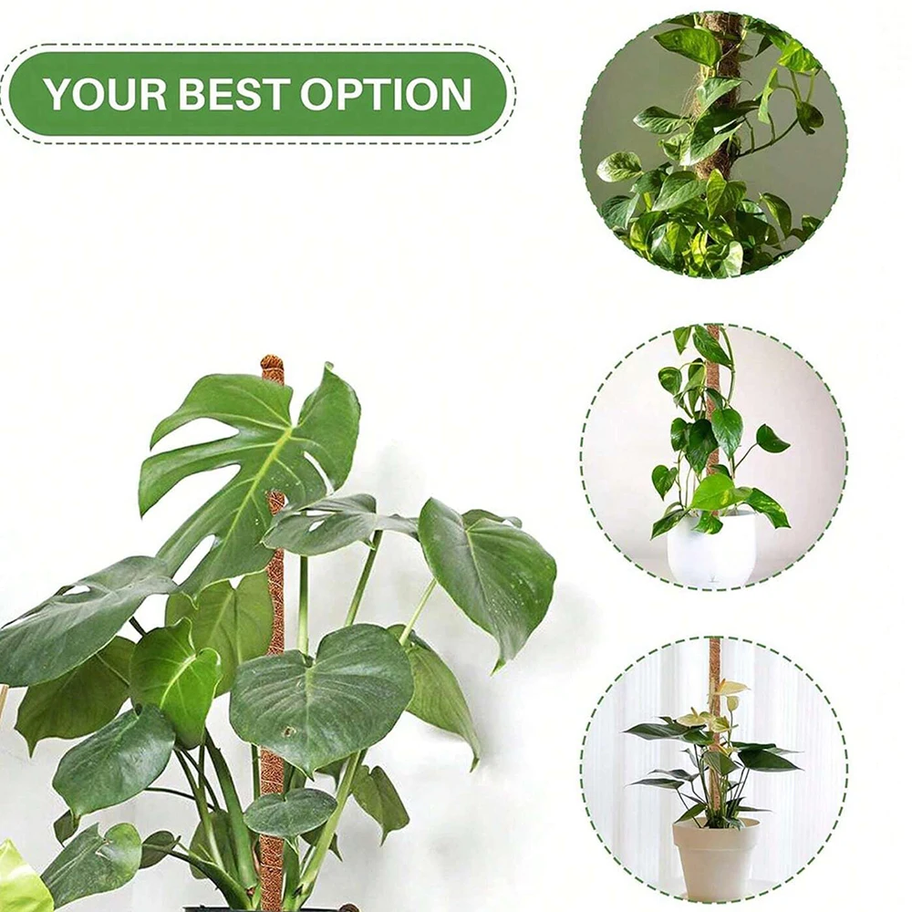 Monstera Plant Moss Pole Suppo - Plant Support Stake recension och pris