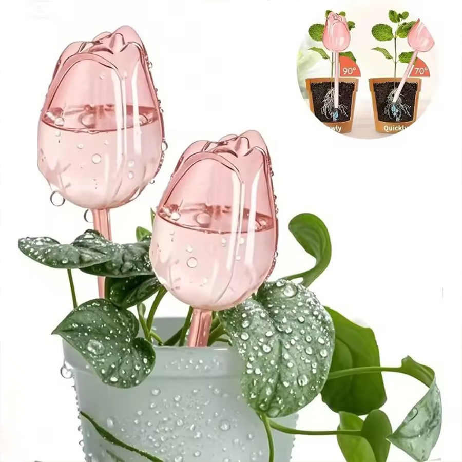 Transparent Thick PET Tulip Sh - Pothos recension och pris