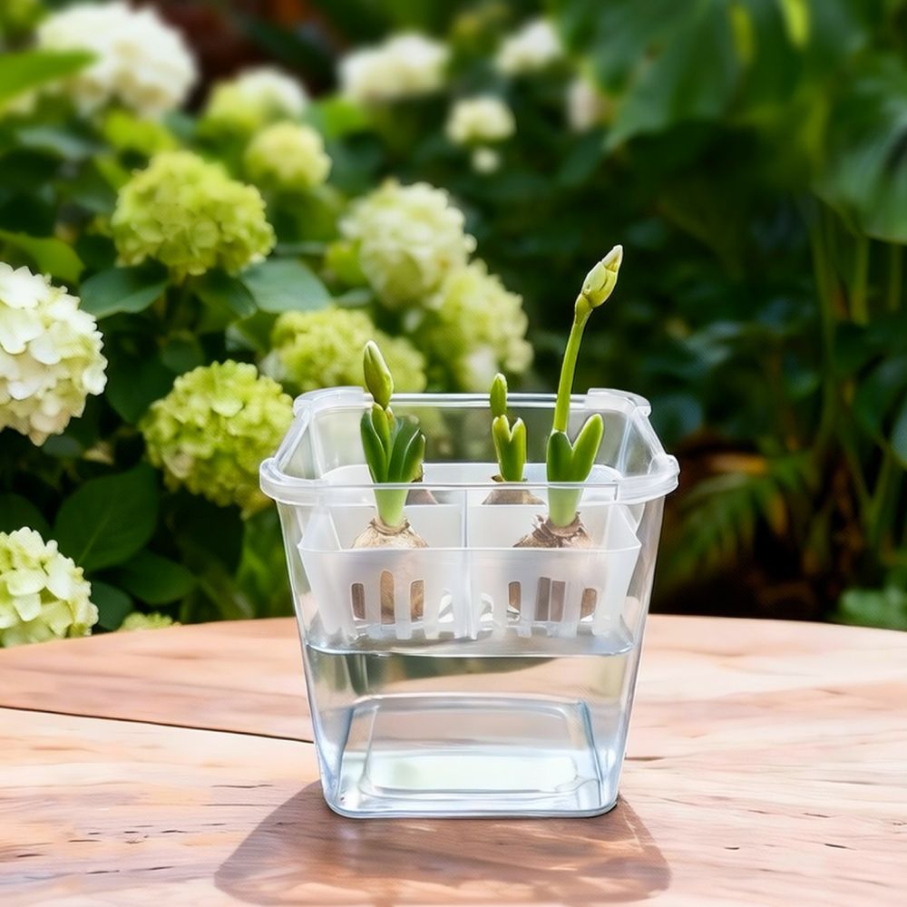 Hydroponic Vase For Tulip Lily - Plant Pot recension och pris
