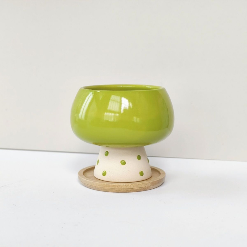 Stylish Minimalist Ceramic Flo - Snake Plant Ceramic recension och pris