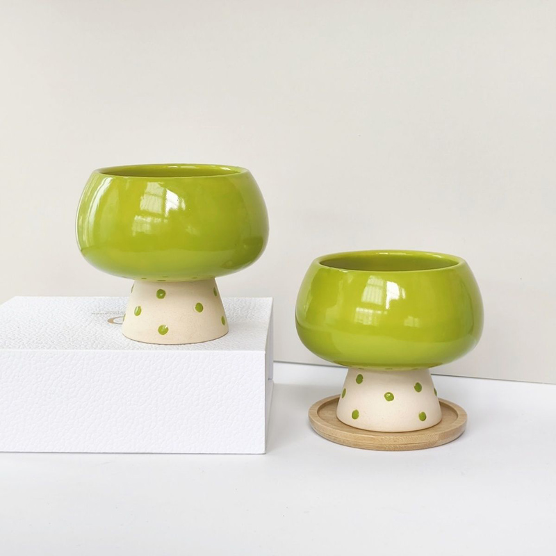Stylish Minimalist Ceramic Flo - Snake Plant Ceramic recension och pris