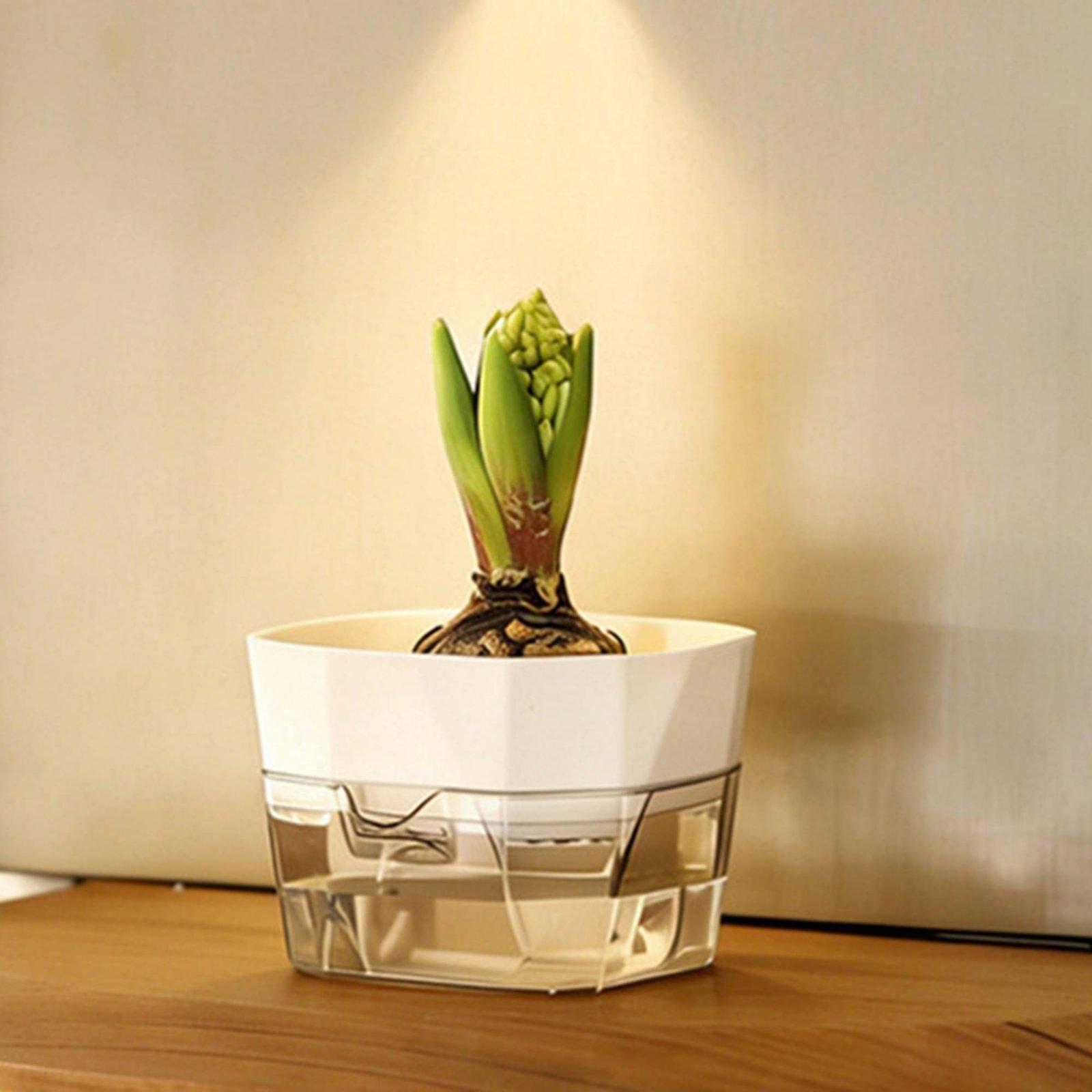 Hydroponic Vase Two Layer Self - Plant Pot recension och pris