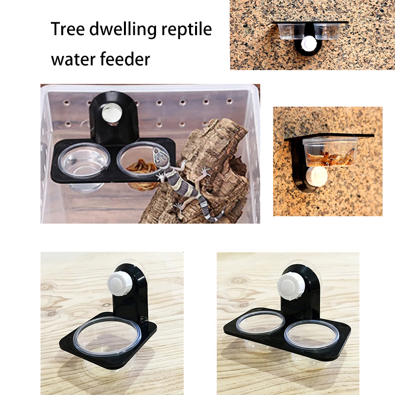 Reptile Tank Accessories Insec - Snake Plant recension och pris