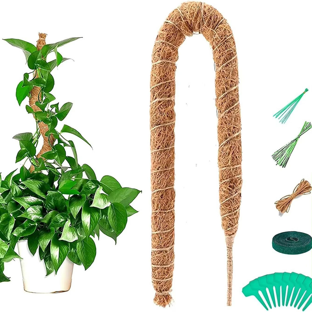 Horticultural Coconut Palm Sti - Pothos recension och pris