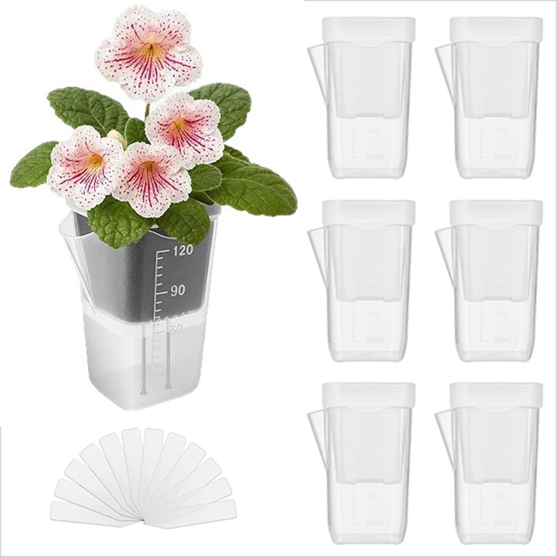 16/32 Pack Self-Watering Plant - Pothos recension och pris
