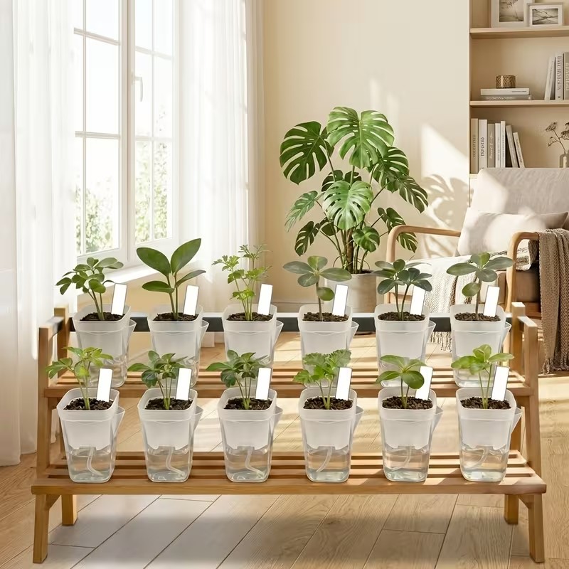 16/32 Pack Self-Watering Plant - Pothos recension och pris