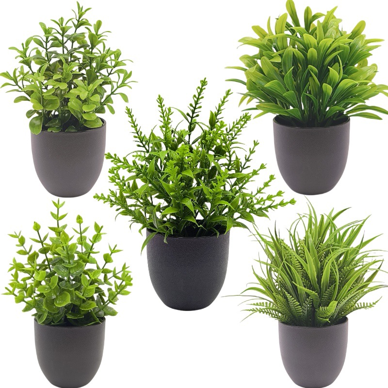 Simulation Green Plant Bonsai  - Succulent Set recension och pris