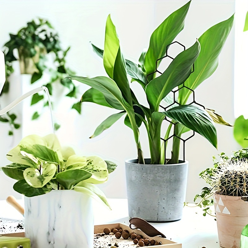 1PC Honeycomb Design Plant Tre - Pothos recension och pris