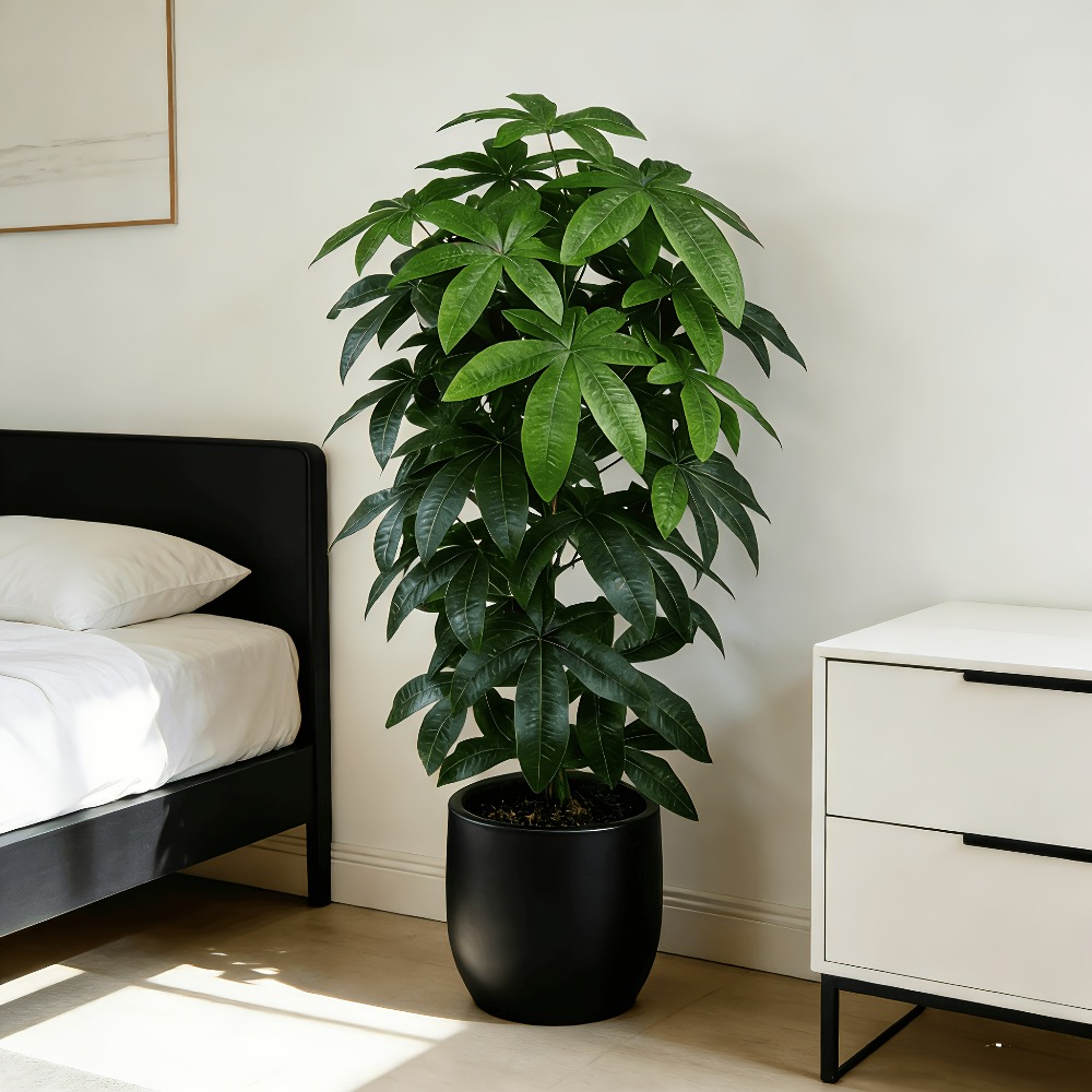 An Artificial Money Tree Pachi - Snake Plant recension och pris
